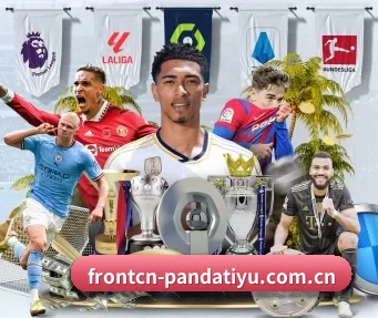 frontcn-pandatiyu.com.cn APP